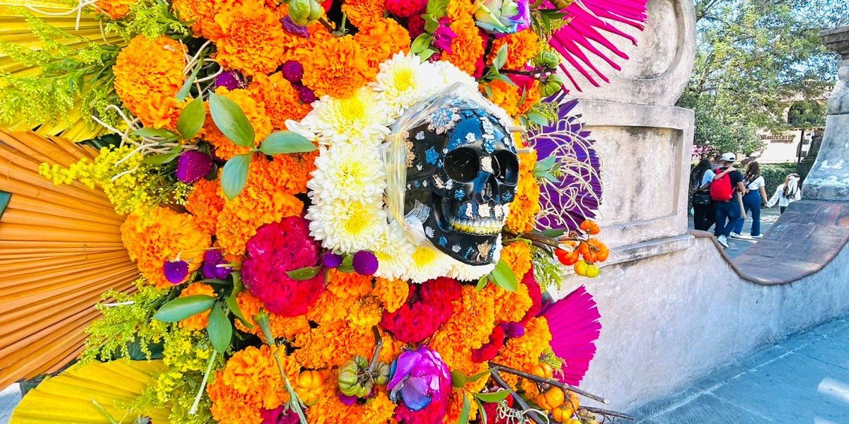 Equipo de Viajes en Oferta en oficina